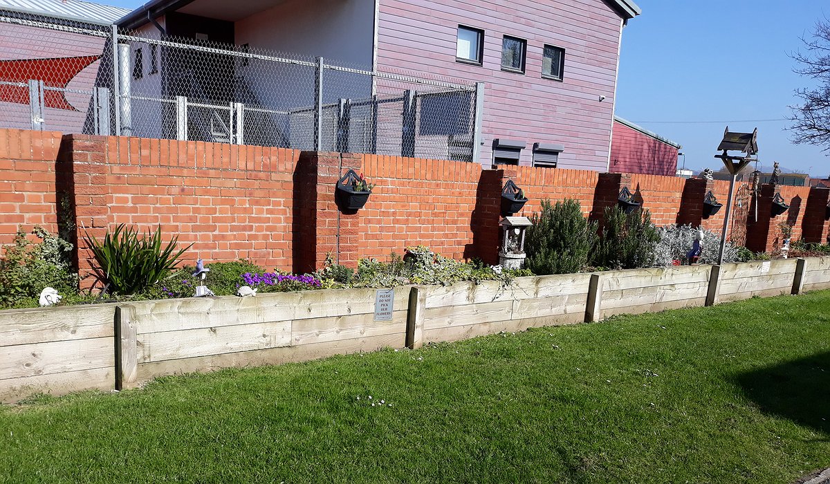 Picture of the communal garden that won an award at Denbighshire Housing Tenant awards in 2019.