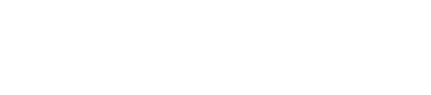 Denbighshire Housing white logo